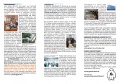 Miniatura della versione delle 13:26, 18 mag 2009