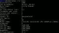 Output di lscpu