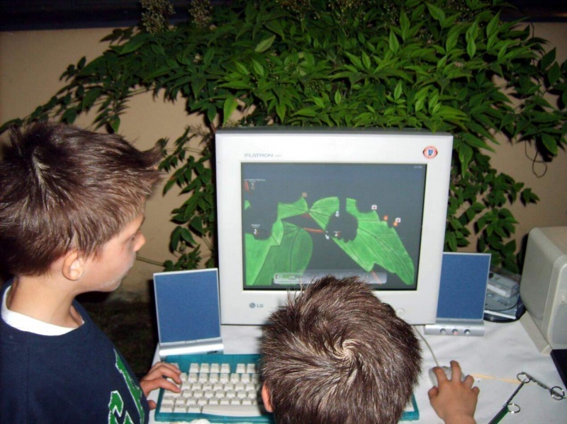 File:Nikday08 7.jpg